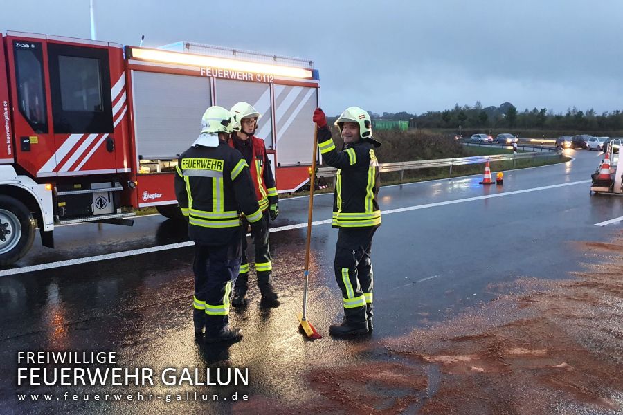 Distribuidor Autorizado Para Colombia Tower Hobbies Home