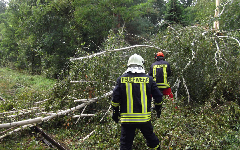 Umgestürzter Baum nach einem Sturm